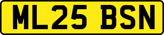 ML25BSN