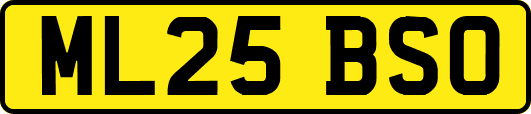 ML25BSO