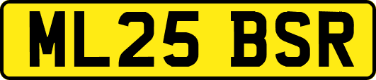 ML25BSR