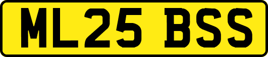 ML25BSS