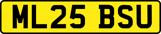 ML25BSU