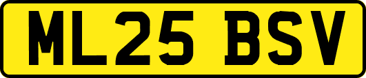 ML25BSV
