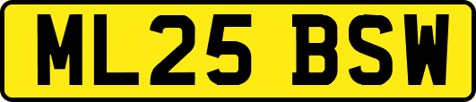 ML25BSW
