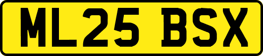 ML25BSX