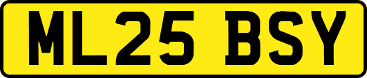 ML25BSY