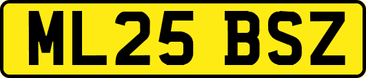 ML25BSZ