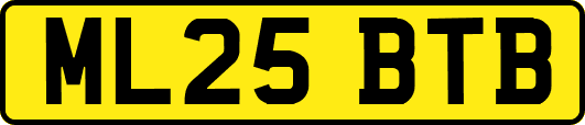 ML25BTB