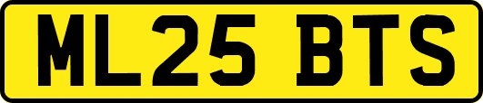 ML25BTS