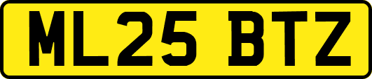 ML25BTZ