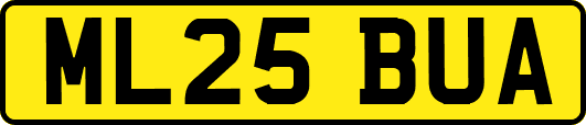 ML25BUA