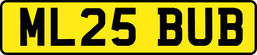ML25BUB