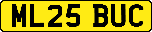 ML25BUC