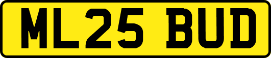 ML25BUD