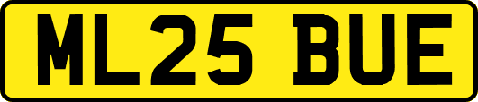 ML25BUE