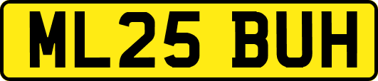 ML25BUH