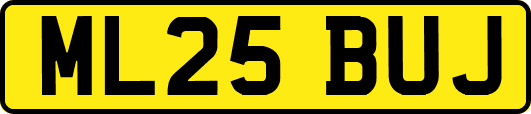 ML25BUJ