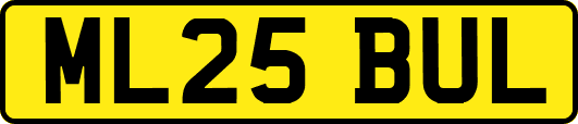 ML25BUL