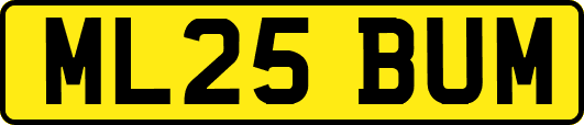 ML25BUM