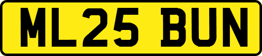 ML25BUN