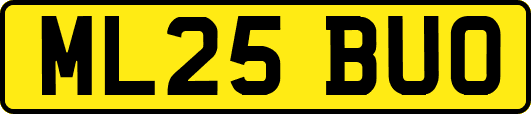 ML25BUO