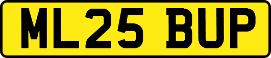 ML25BUP