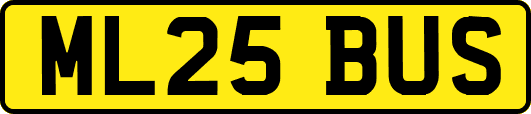 ML25BUS