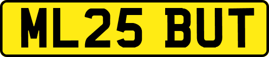 ML25BUT