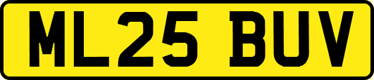 ML25BUV
