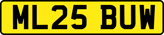 ML25BUW