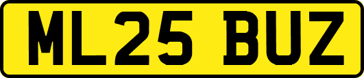 ML25BUZ