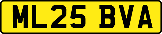 ML25BVA