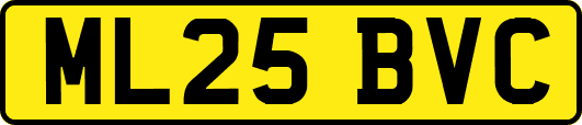 ML25BVC