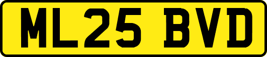 ML25BVD