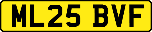 ML25BVF