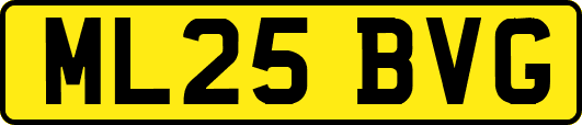 ML25BVG