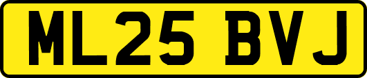 ML25BVJ