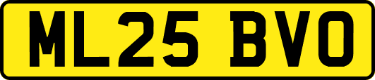 ML25BVO
