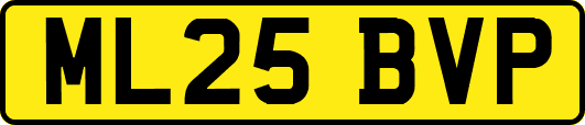 ML25BVP
