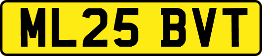 ML25BVT