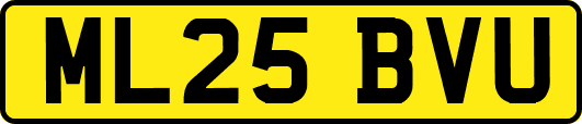 ML25BVU
