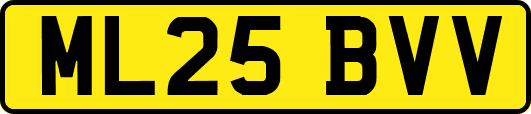 ML25BVV