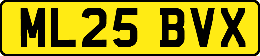 ML25BVX