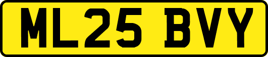 ML25BVY