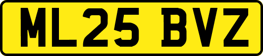 ML25BVZ