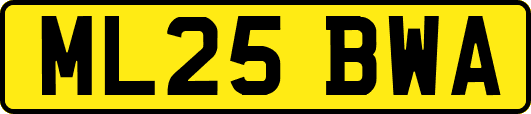 ML25BWA