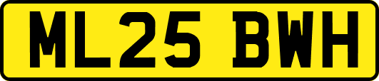 ML25BWH