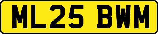ML25BWM