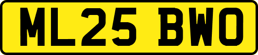 ML25BWO