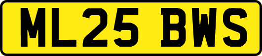 ML25BWS