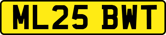 ML25BWT